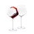 Wine glass set of 2 in colour box wl‑888103‑jv/2с Wilmax (photo 3)