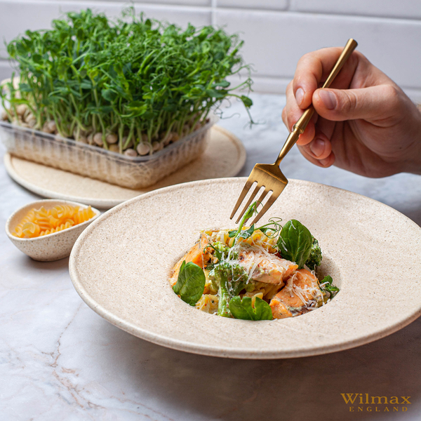 Deep plate wl‑661315/a Wilmax (photo 3)